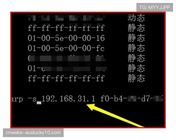 关键卡位战首次提供“主客场解说”双流直播选项，测试用户偏好